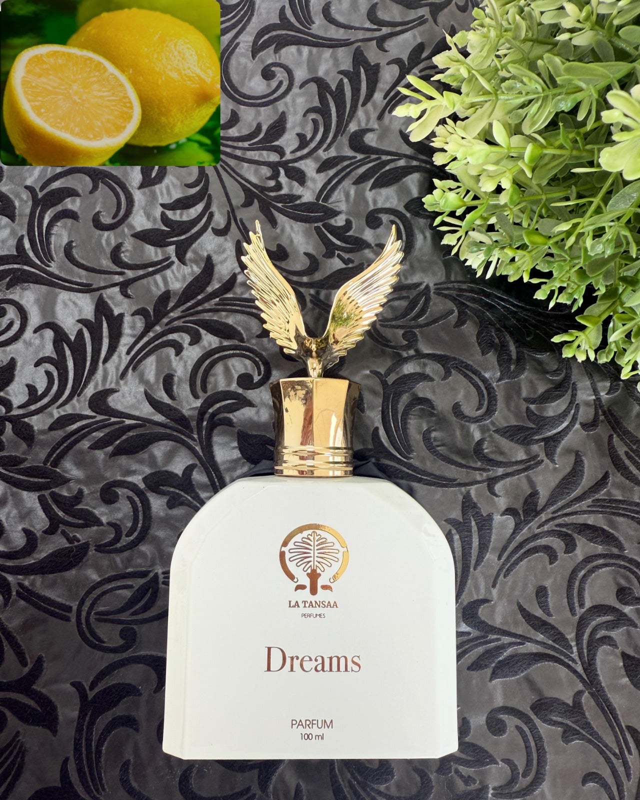 DREAMS - LA TANSAA PERFUMES