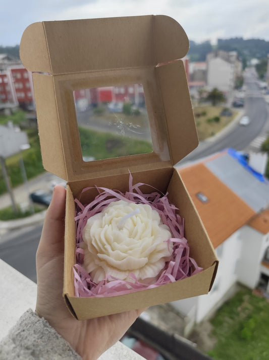 Vela de peonía en caja